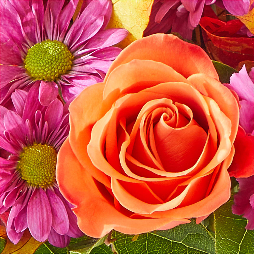 Mum's the Word Bouquet – MILAM FLORAL & GREENHOUSE, Havre MT