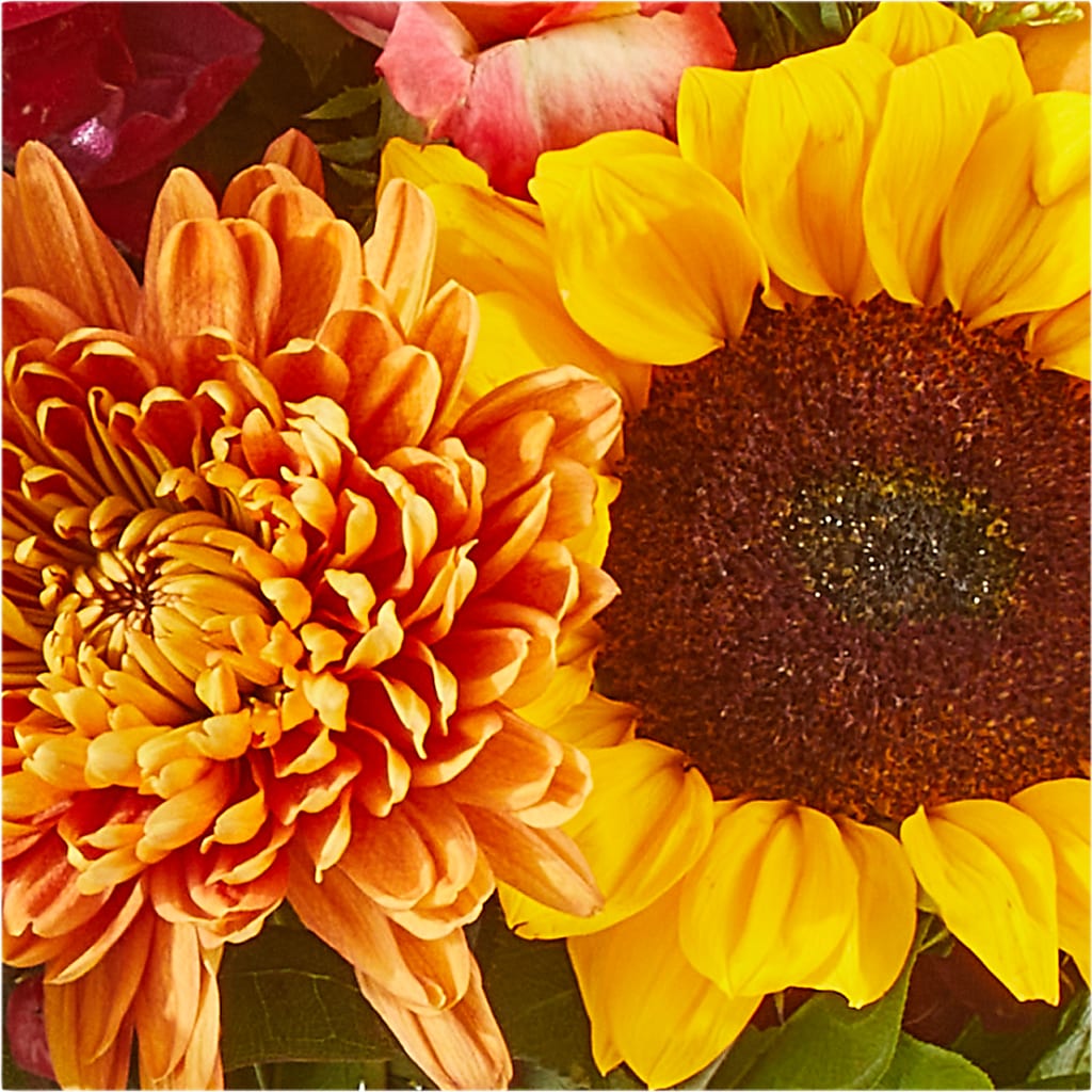 Seasons Change Bouquet – MILAM FLORAL & GREENHOUSE, Havre MT