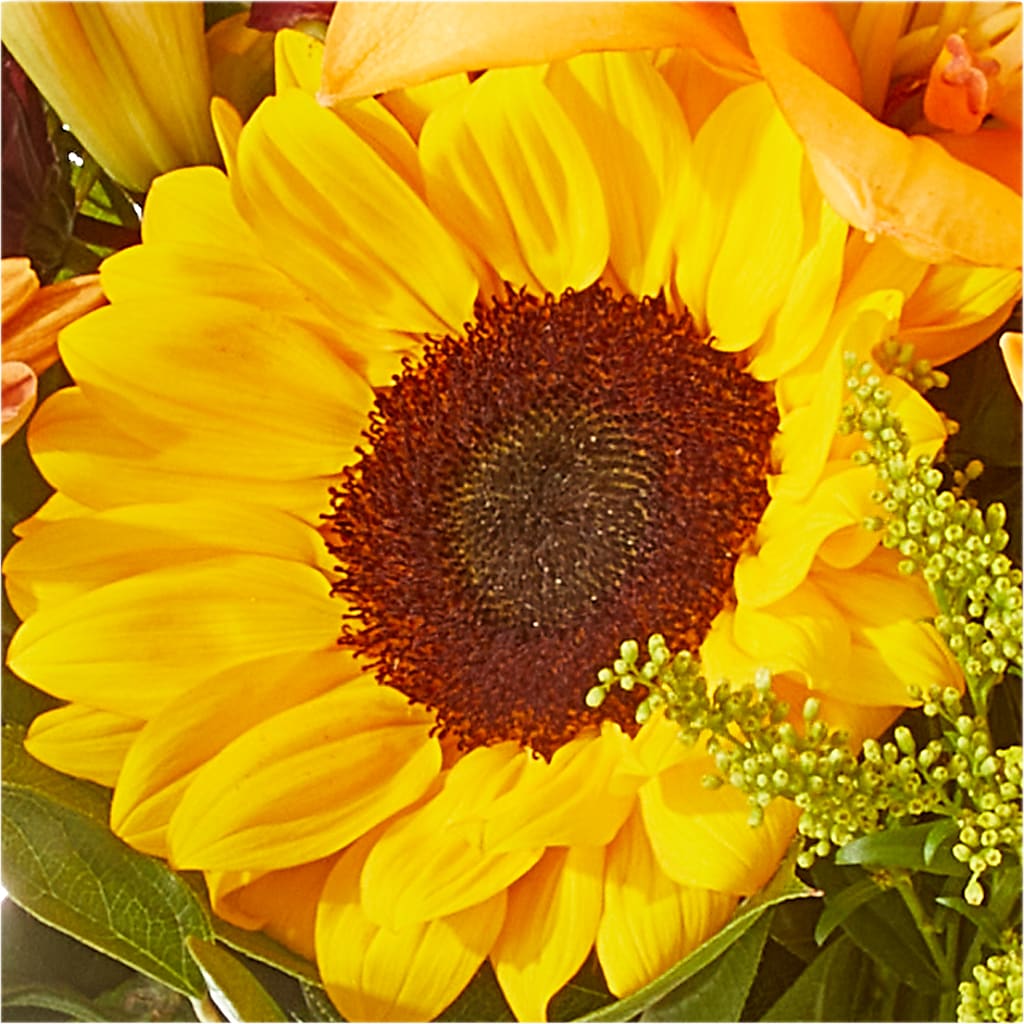 Seasons Change Bouquet – MILAM FLORAL & GREENHOUSE, Havre MT