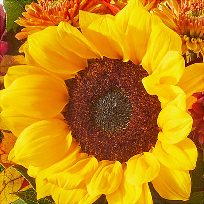 Sunny Side Bouquet – MILAM FLORAL & GREENHOUSE, Havre MT