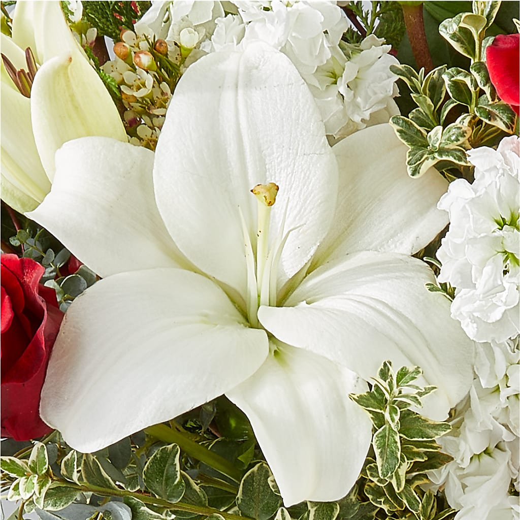 Twinkle Lights Bouquet – MILAM FLORAL & GREENHOUSE, Havre MT