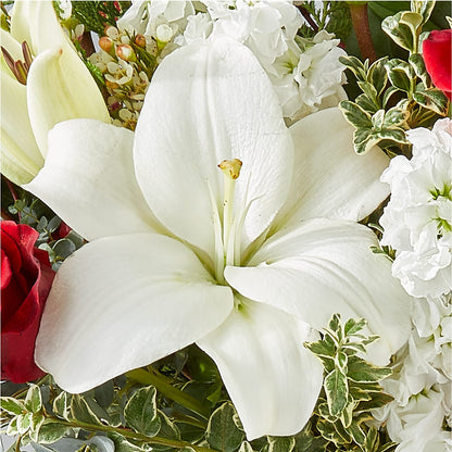 Twinkle Lights Bouquet – MILAM FLORAL & GREENHOUSE, Havre MT