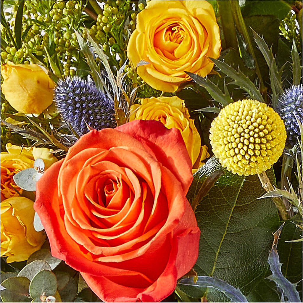 Disco Bouquet – MILAM FLORAL & GREENHOUSE, Havre MT