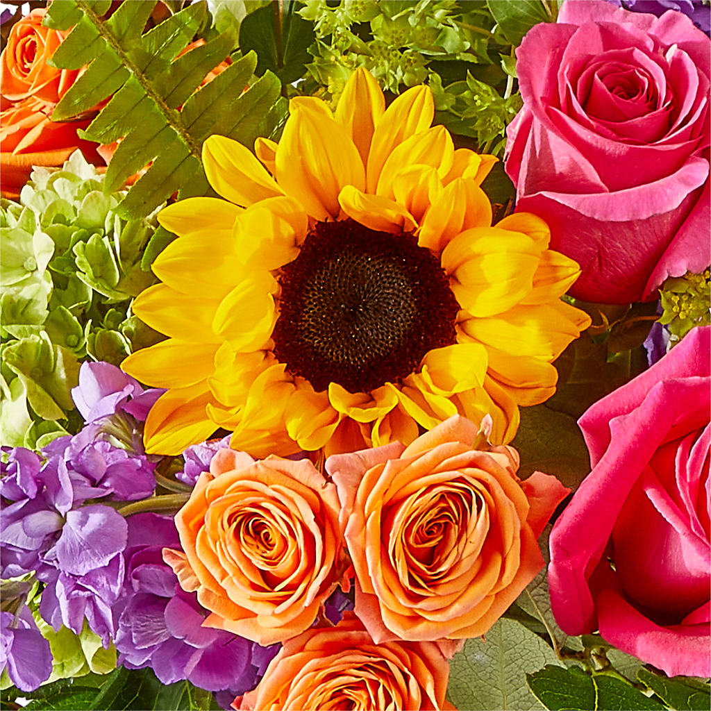 Vibrant Greetings Bouquet – MILAM FLORAL & GREENHOUSE, Havre MT