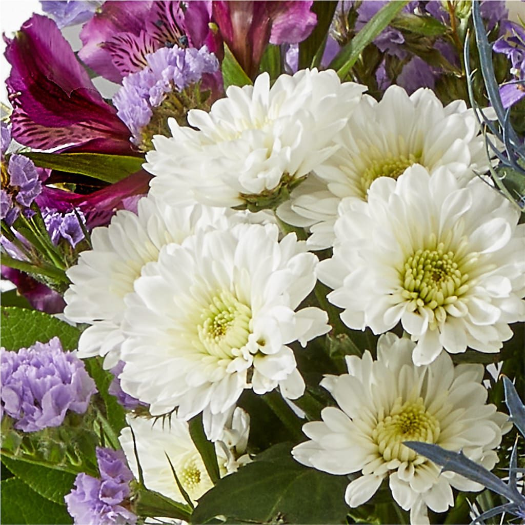 Shooting Star Bouquet – MILAM FLORAL & GREENHOUSE, Havre MT