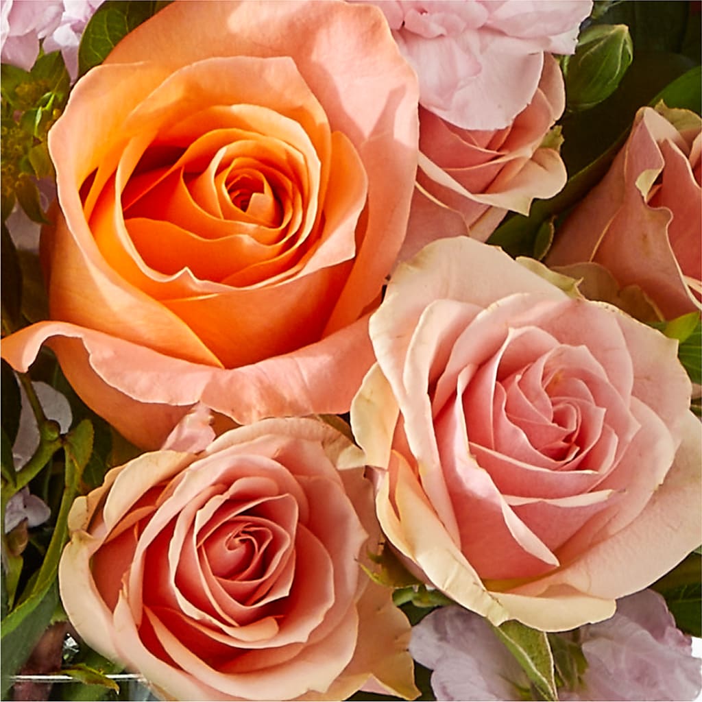 French Market Bouquet – MILAM FLORAL & GREENHOUSE, Havre MT