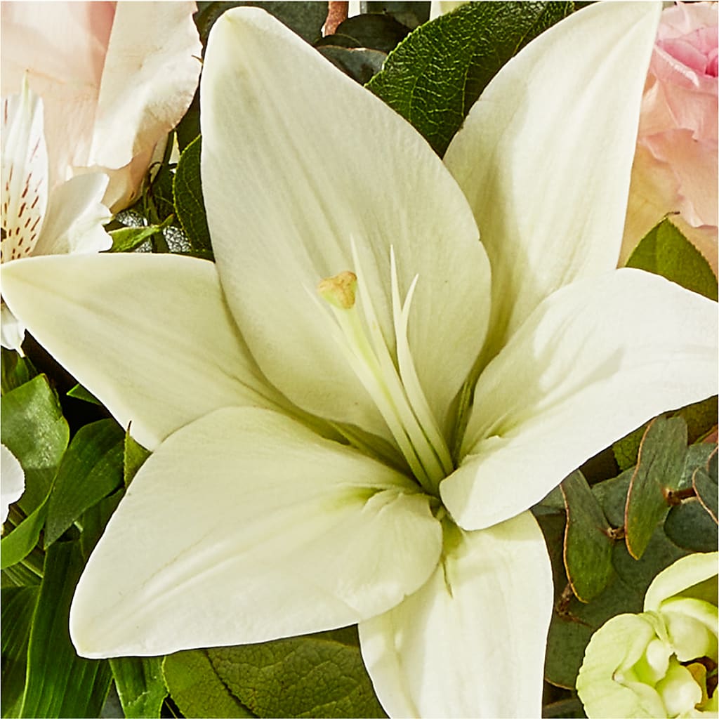 Ballet Slippers Bouquet – MILAM FLORAL & GREENHOUSE, Havre MT