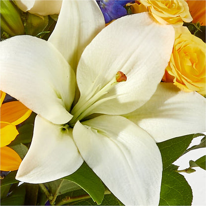 Wonderfully Sunny Bouquet – MILAM FLORAL & GREENHOUSE, Havre MT
