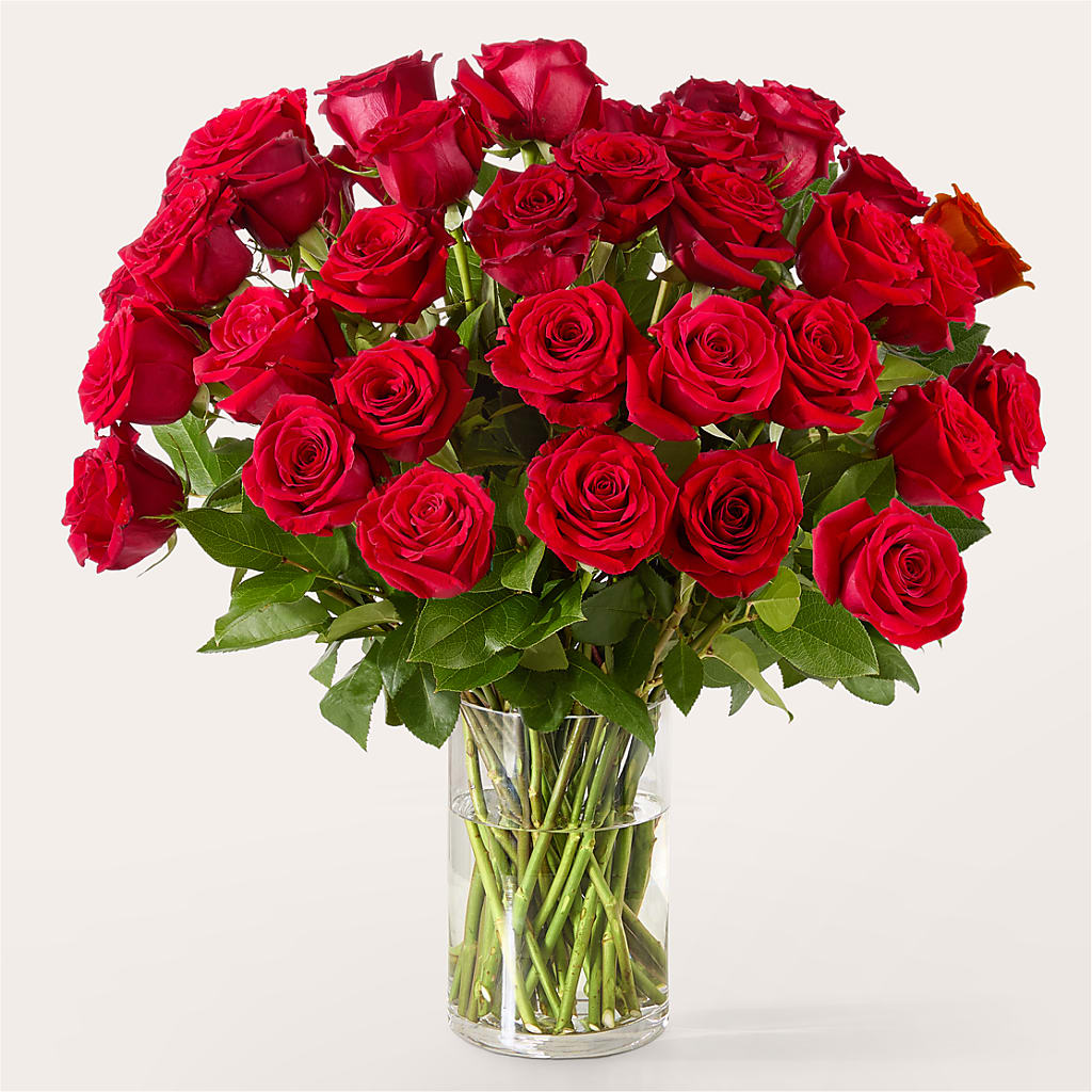 The One Red Rose Bouquet – MILAM FLORAL & GREENHOUSE, Havre MT