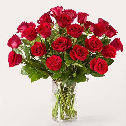 The One Red Rose Bouquet – MILAM FLORAL & GREENHOUSE, Havre MT
