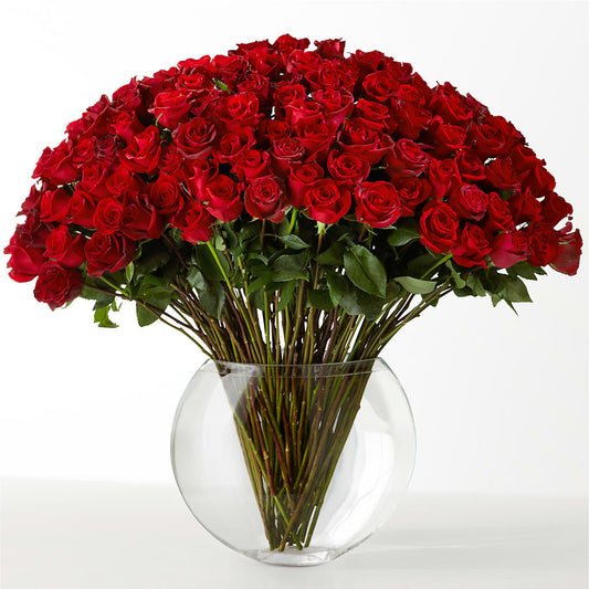The Idealist – MILAM FLORAL & GREENHOUSE, Havre MT
