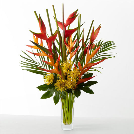 The Drama – MILAM FLORAL & GREENHOUSE, Havre MT