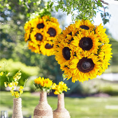 Sublime Garden Hanging Arrangement – MILAM FLORAL & GREENHOUSE, Havre MT
