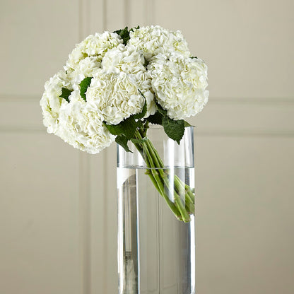 White Hydrangea Hand-Tied Bouquet – MILAM FLORAL & GREENHOUSE, Havre MT