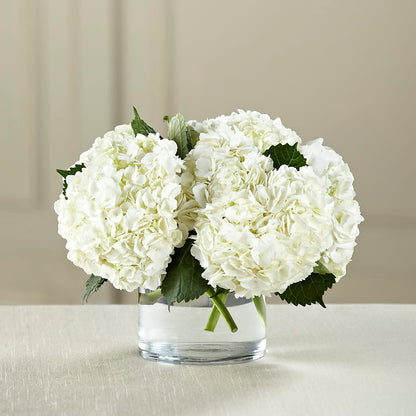 White Hydrangea Bouquet – MILAM FLORAL & GREENHOUSE, Havre MT