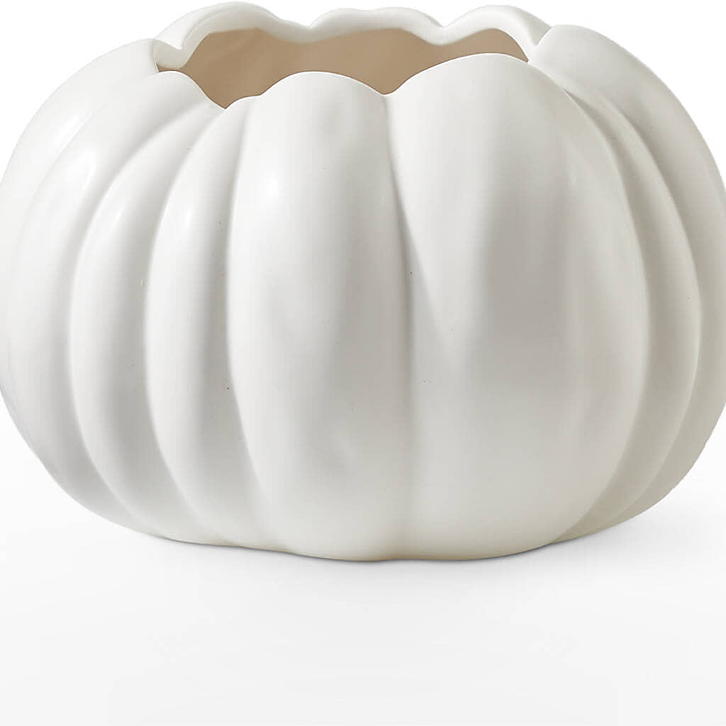 Autumn Air Pumpkin Bouquet – MILAM FLORAL & GREENHOUSE, Havre MT
